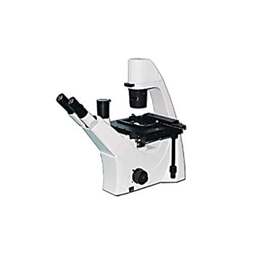 Jenco Uluslararası Ters Bileşik Mikroskop Trınc Inv Ann Slayt Kondenser