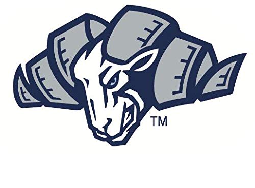 6 İnç UNC Rameses Çıkartması University of North Carolina Tarheels Tar Topuklar Logo NC Çıkarılabilir Duvar Sticker Sanat NCAA