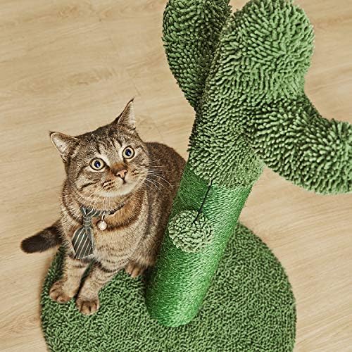 Tüm Kediler için Sarkan Top ile Catinsider Kaktüs Kedi Tırmalama Direği