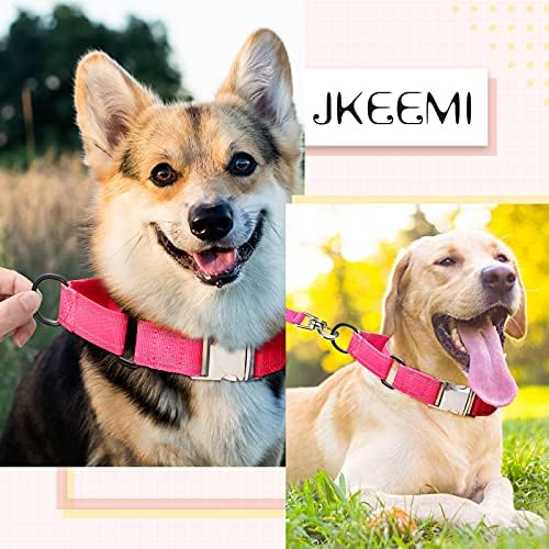 JKEEMI Yansıtıcı köpek tasması Martingale Yaka Tutuşunu Yapış Toka ile Köpekler için Köpek Eğitim Yaka Küçük Orta Büyük Köpekler