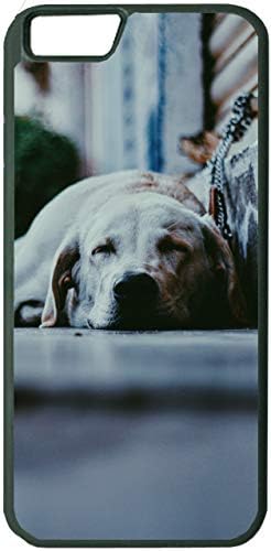 Köpekler Yavru Evcil Köpek EN41 Kapak Kılıf Apple iPhone 6 Artı 5.5 inç