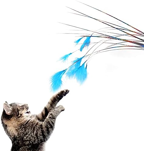BAISITEJIA Yavru Interaktif Oyuncaklar, Kedi Teaser Kitty ıçin Sağlam Yaratıcı Renkli Komik Kedi Sopa