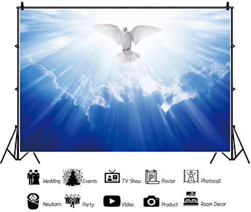 OERJU 6x4ft isa Mesih kutsal ışık yayar fotoğraf arka plan Tanrı nimet Beyaz Güvercin mavi gökyüzü cennet Messenger inanç Cennet