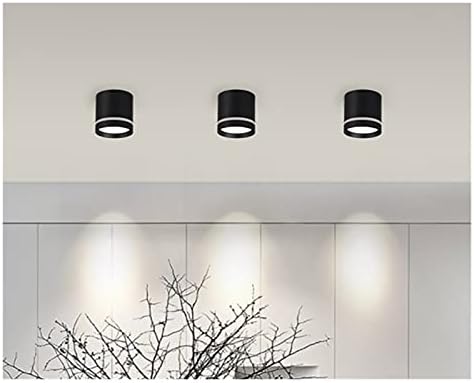 NASEGNGC Downlight Kısılabilir Silindir LED Downlight 7 W / 10 W / 12 W / 15 W COB LED tavan spot ışıkları AC85~265 V LED arka
