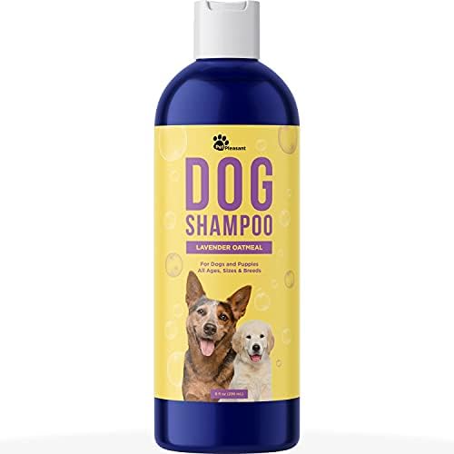 Kokulu Köpekler için Temizleyici Köpek Şampuanı-Kuru Ciltler için Canlandırıcı Kolloidal Yulaf Ezmesi Köpek Şampuanı ve Temizleyici