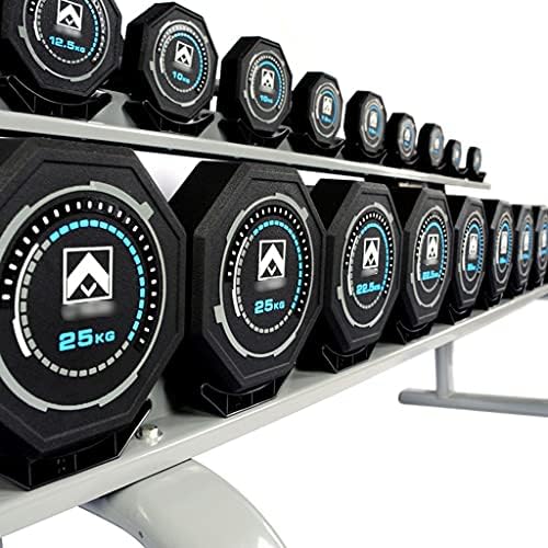 HYX ABD PU Dambıl erkek Ev Fitness ekipmanları Ticari Profesyonel Dambıl Spor Sabit Dambıl 2.5-25 kg (Renk: Siyah, Boyutu : 25kg2)