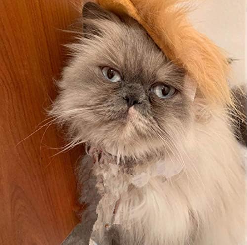 Kedi Peruk Hayvan Kostümü, Köpek Kafası Cadılar Bayramı, Yılbaşı, Partiler, Festivaller için Giyim Toy Giyim