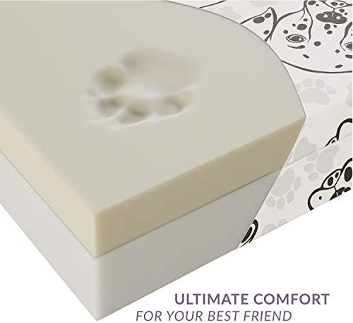 Lunarable Okaliptüs Köpek Yatağı, Soyut Modern Stil Monokromatik Tasarımda Yapraklar ve Lekeler, Dekoratif Kumaş Kapaklı Dayanıklı
